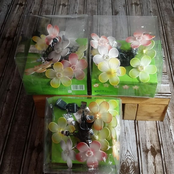 Bundle of String Lights - Picture 6 of 7